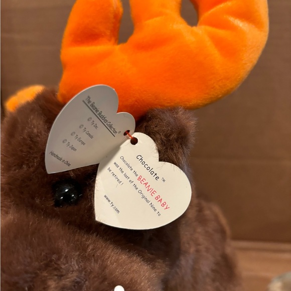 Chocolate & Rainbow - Picture 3 of 6